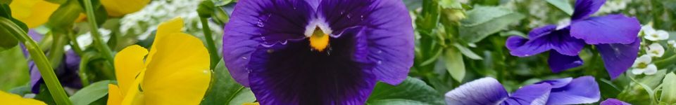 Bootstrap, an engineering exercise (intro) image